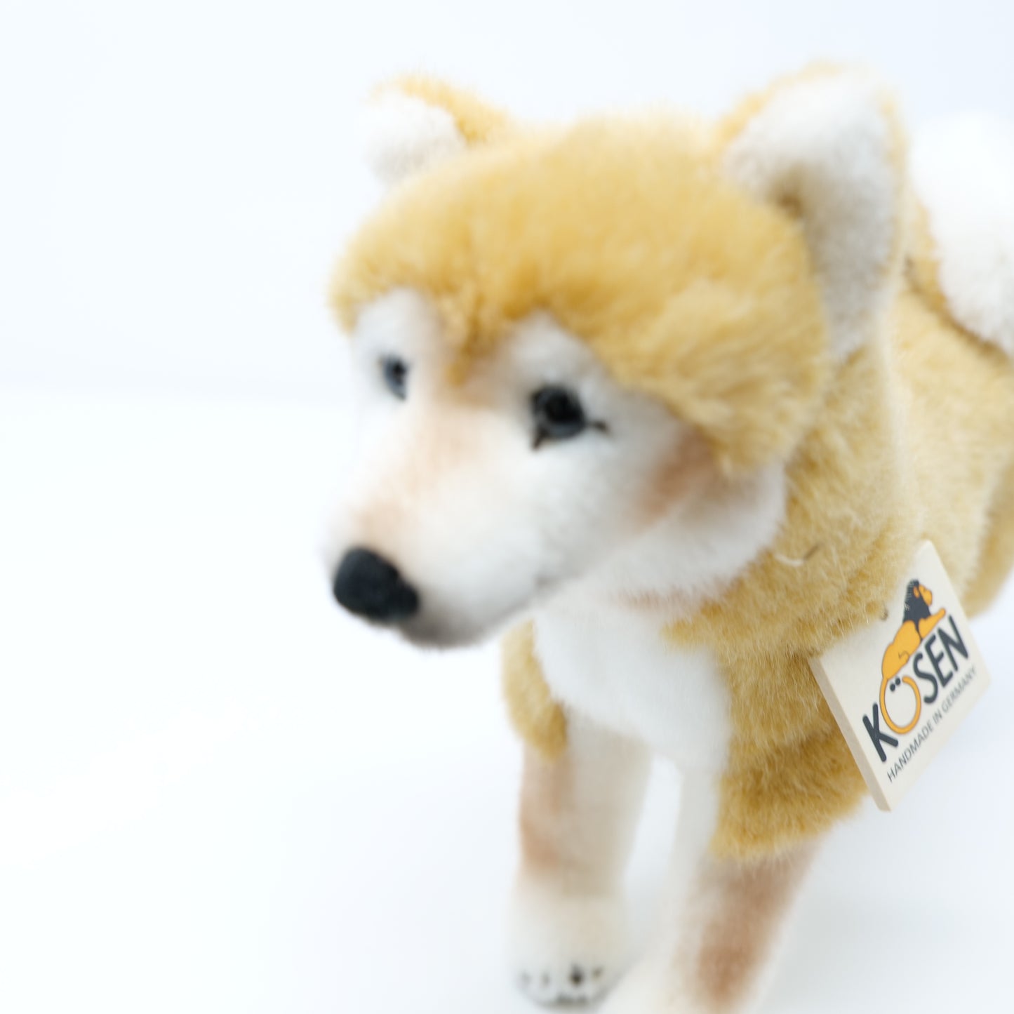 ケーセン 犬