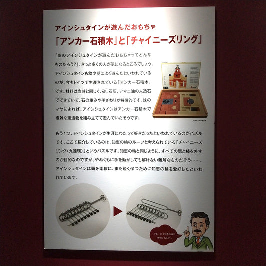 アインシュタインも遊んだアンカー積み木