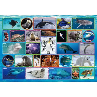 ジグソーパズル　水族館