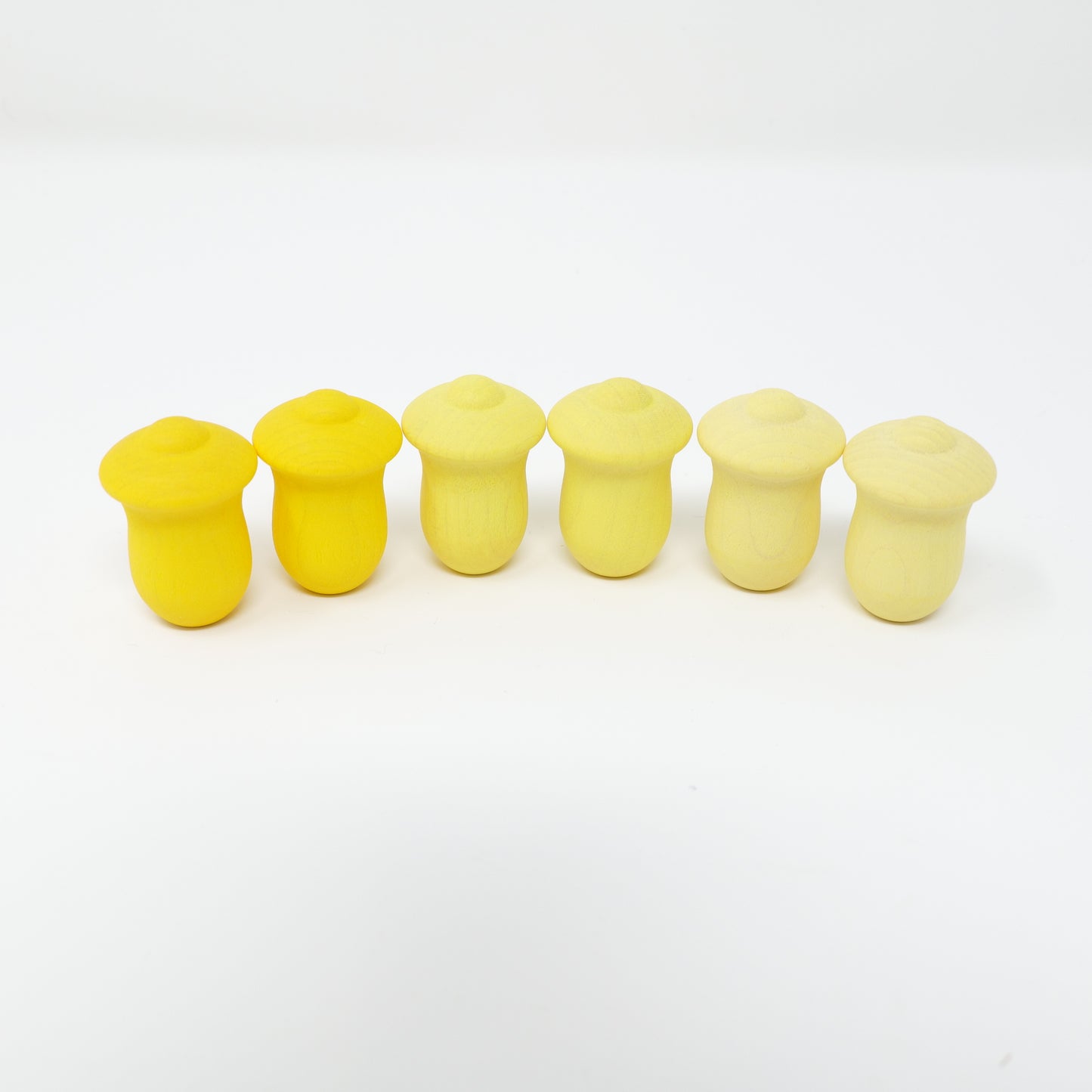 グラパット  まんだら チューリップ