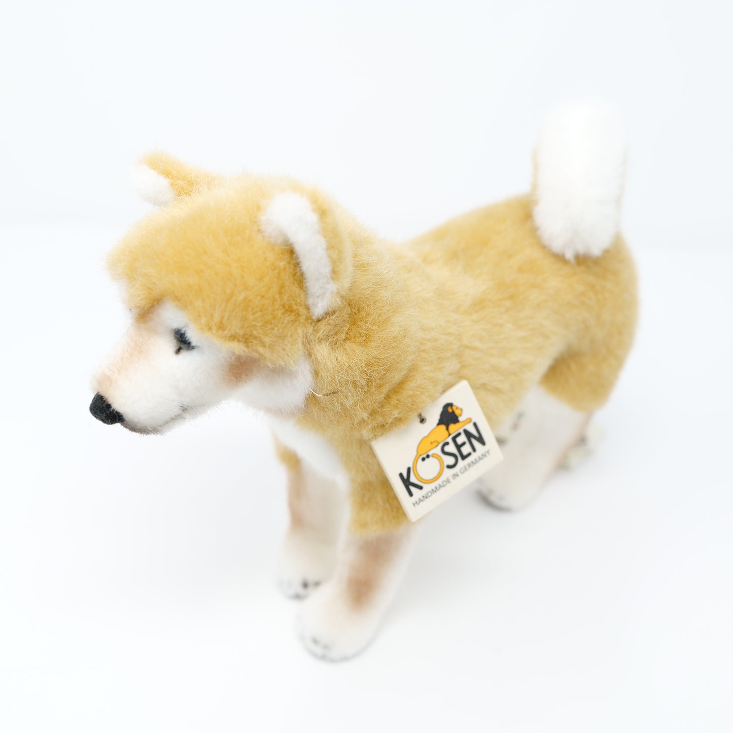 ケーセン　犬