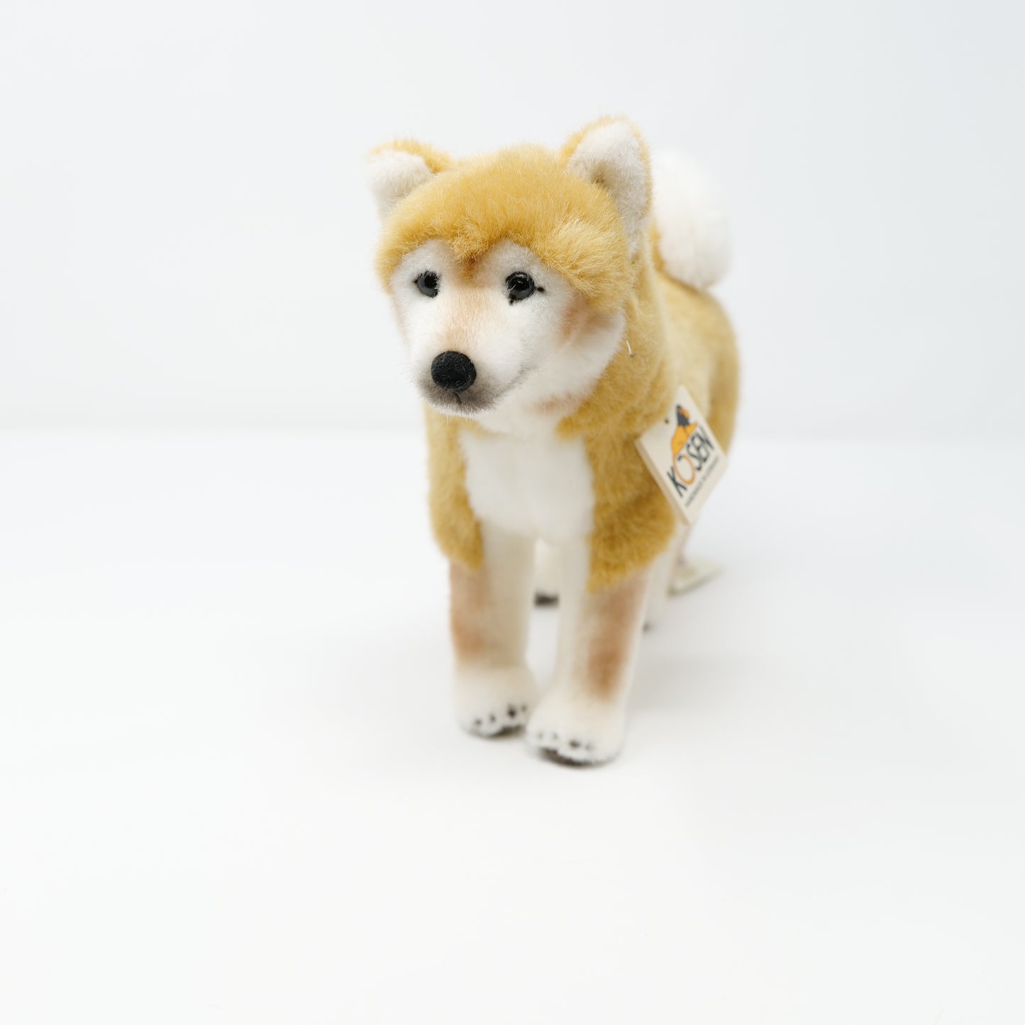 ケーセン　犬