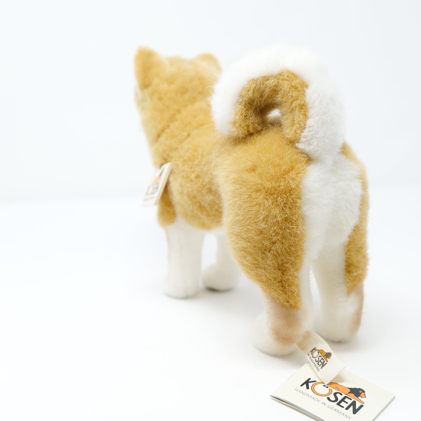 ケーセン　犬
